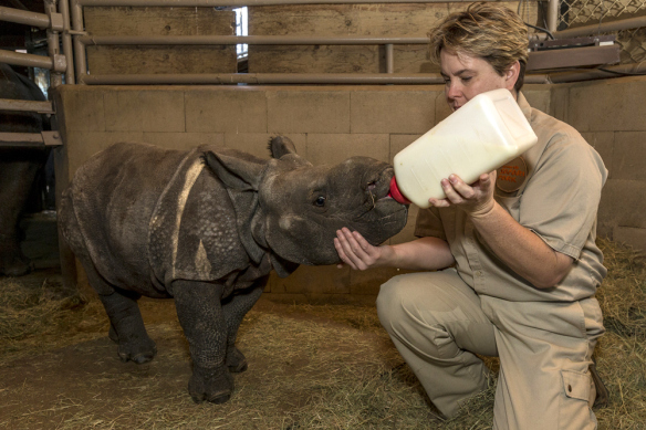 the-world_s-top-10-best-images-of-animals-being-bottle-fed-10-1.jpg