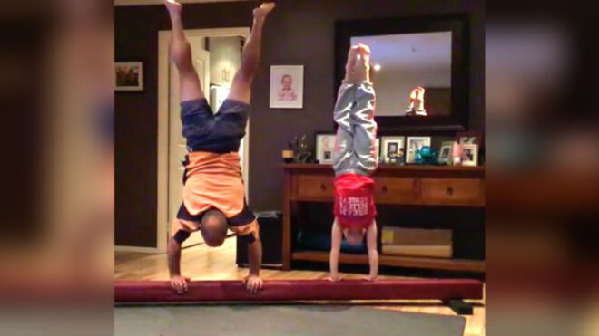 thehandstand