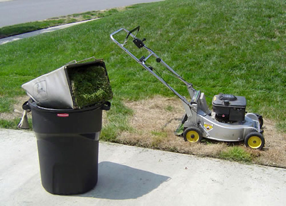 throw-away-clippings.jpg