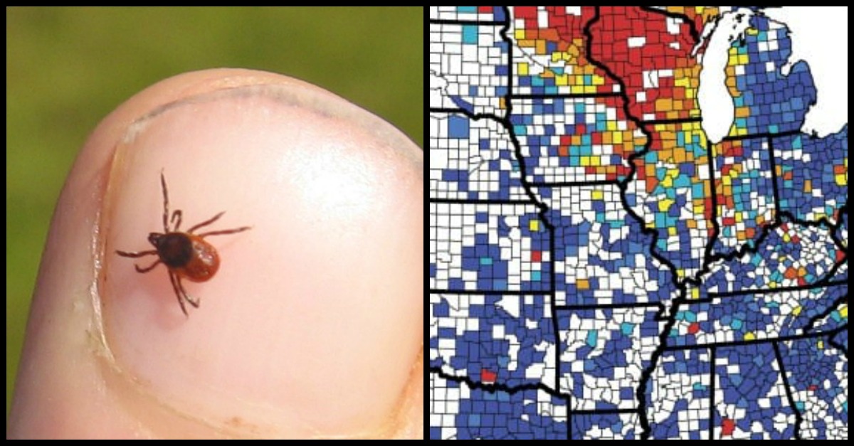 tick-maps-lyme-disease