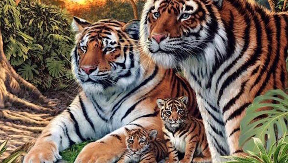 tigerrrr.jpg
