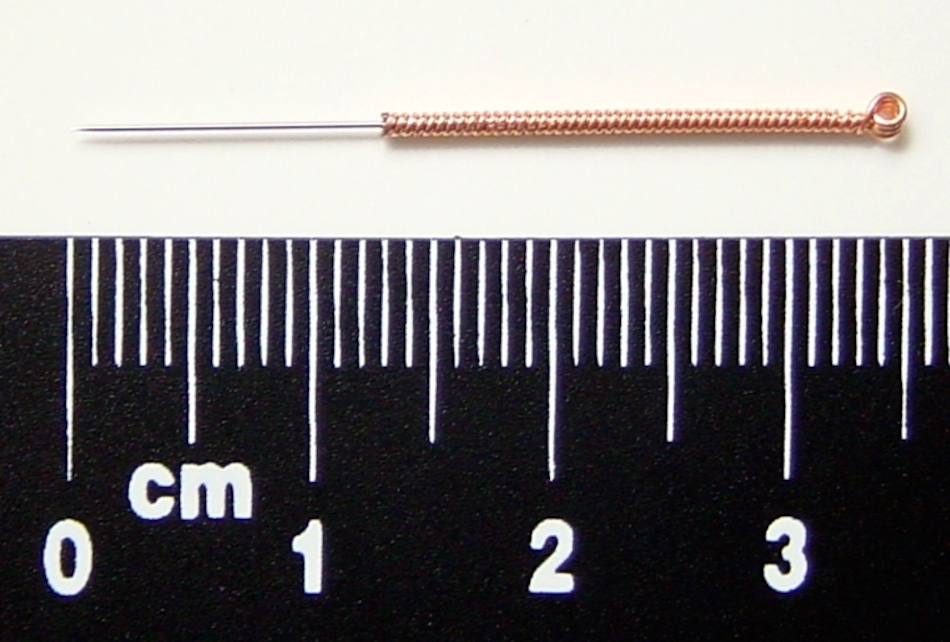 tiny-acupuncture-needle.jpg