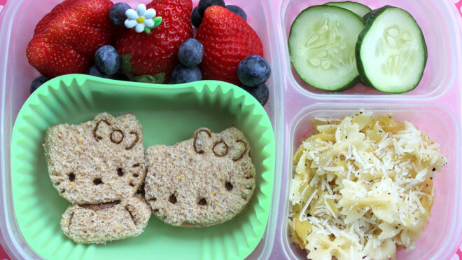 Toddler Lunch Ideas For Daycare