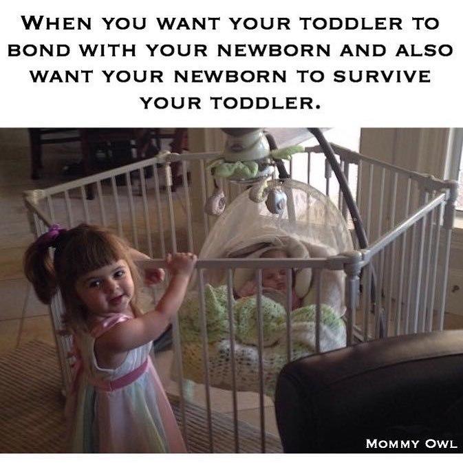 toddler35.jpg