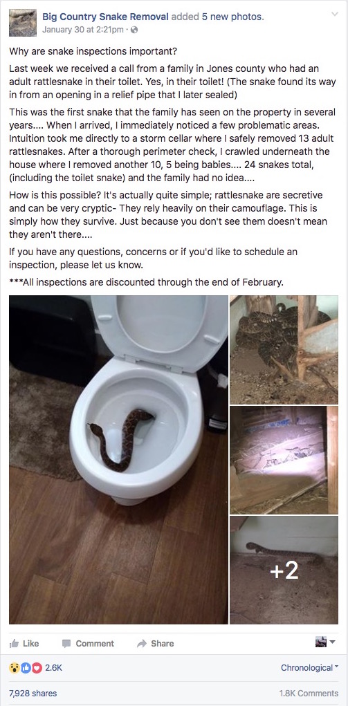 toilet-rattlesnake-6.jpg