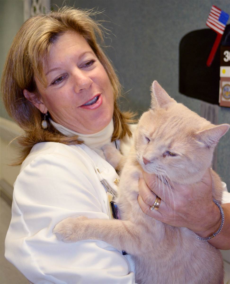 tom-the-cat-today-160824-04_cefc603f377ffea4b4d4fa41f3929d24.today-inline-large2x.jpg