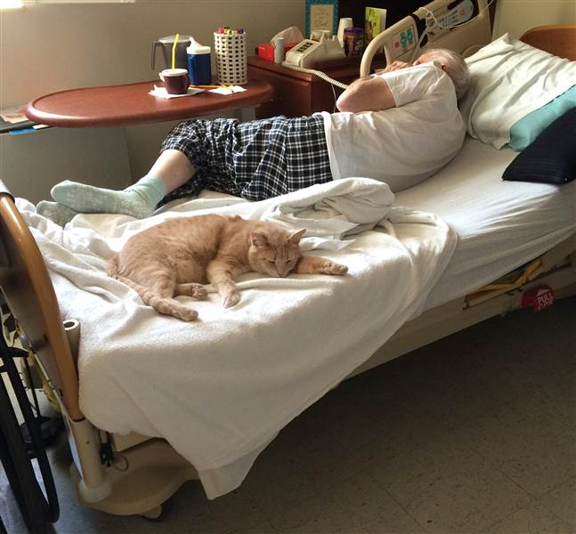 tom-the-cat-today-160824-07_cefc603f377ffea4b4d4fa41f3929d24.today-inline-large.jpg tom-the-cat-today-160824-07_cefc603f377ffea4b4d4fa41f3929d24.today-inline-large.jpg