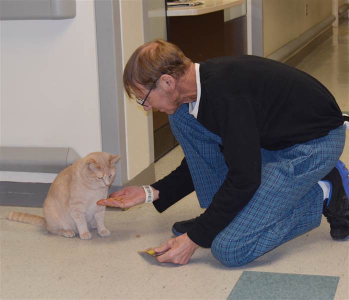 tom-the-cat-today-160824-09_cefc603f377ffea4b4d4fa41f3929d24.today-inline-large.jpg