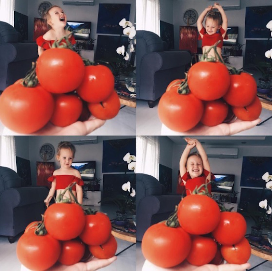 tomato.jpg