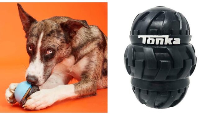 tough-dog-toy