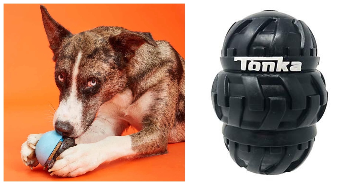 tough-dog-toy