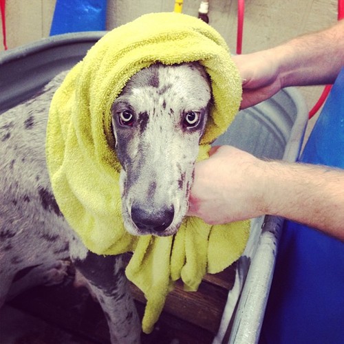 towel.jpg