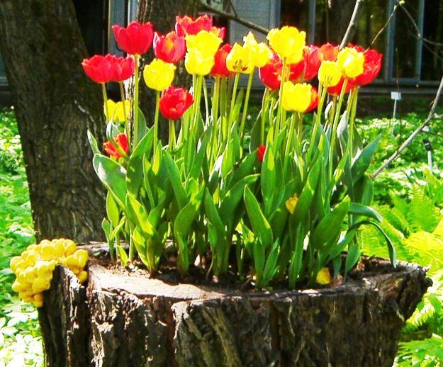 tree-stump-planter-decorating-with-flowers-10.jpg