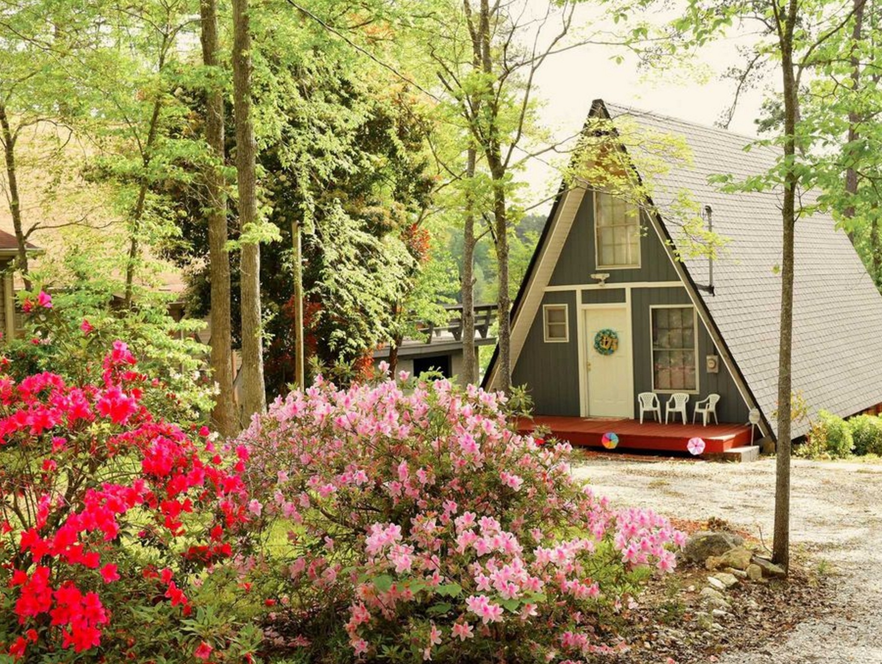 triangular-house-flowers.jpg