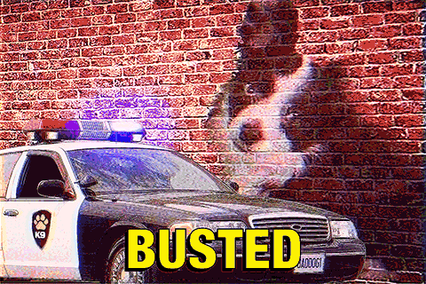 ttm7.gif