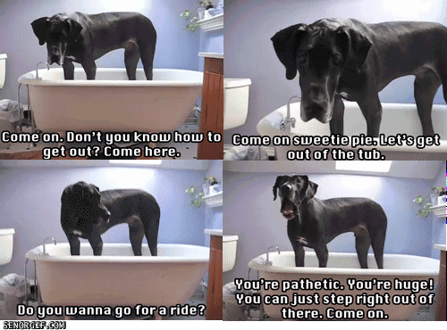 tub.gif