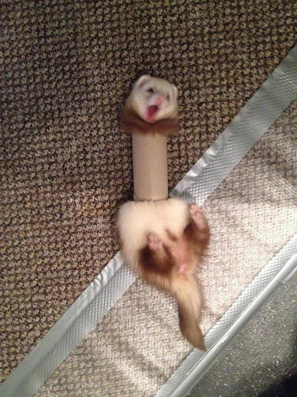 tube.jpg tube.jpg