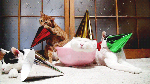tumblr_m3dvxfNQTD1qfw2dno1_500.gif tumblr_m3dvxfNQTD1qfw2dno1_500.gif