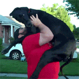 tumblr_m6vfldfxXE1r3zat8.gif