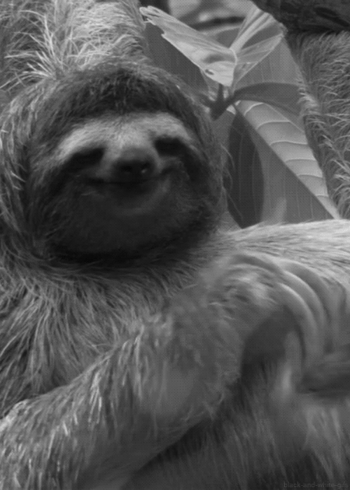 tumblr_mjpsfcTVv71rsq9eyo1_500-1.gif