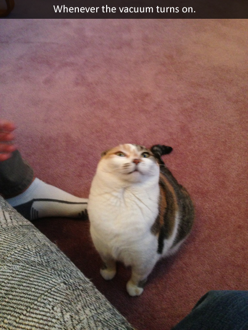 tumblr_ml94ecCwGN1rq3b5ko1_500.png