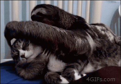tumblr_mlf8zt33uq1qdlh1io1_4001-1.gif