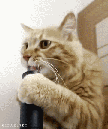 tumblr_mlgc1oejat1s2yegdo1_400.gif