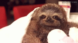 tumblr_mm8kmqpPvp1so450so1_400-1.gif