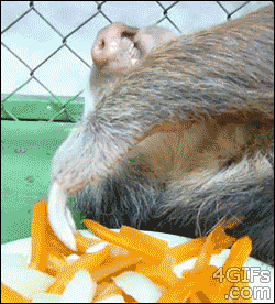 tumblr_mndj28lzS21qdlh1io1_250-1.gif