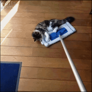 tumblr_msh1dixWxB1qdlh1io1_400.gif