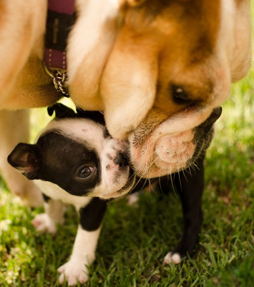 tumblr_mumujxDtuv1qjcdw9o1_500.jpg tumblr_mumujxDtuv1qjcdw9o1_500.jpg