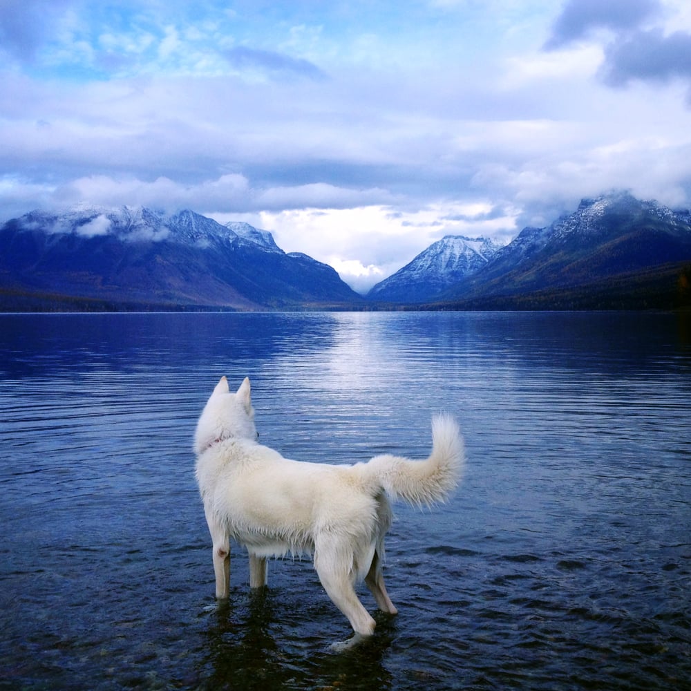 tumblr_mx7g5gEJ6a1qanwopo1_1280-1.jpg tumblr_mx7g5gEJ6a1qanwopo1_1280-1.jpg