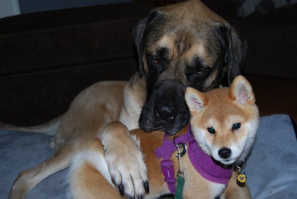 tumblr_n0769c6BOJ1ri9b3no2_1280.jpg tumblr_n0769c6BOJ1ri9b3no2_1280.jpg