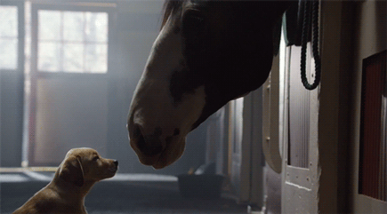 tumblr_n07lucDNnq1stmjkwo1_500.gif