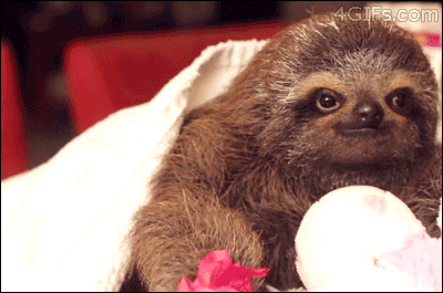 tumblr_n0fmosDUPZ1sgx187o1_400.gif