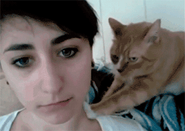 tumblr_n0fz5aJ2Cc1rrhjaso1_400.gif