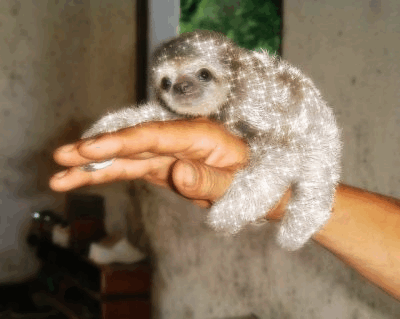 tumblr_n3sij9CF4r1tuuzb4o1_400-1.gif