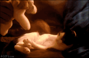 tumblr_n5pfacdl231qeo244o1_400.gif