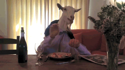 tumblr_n5zniy5ip81s8ln91o1_500.gif