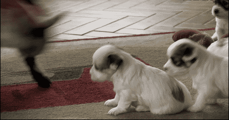 tumblr_n5zojcYiTa1s8ln91o1_500.gif