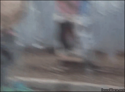 tumblr_n6vle88l151s8ln91o1_400.gif
