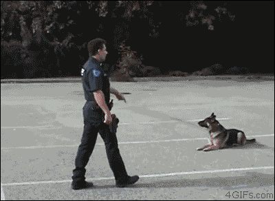 tumblr_n957paDANt1qdlh1io1_400.gif