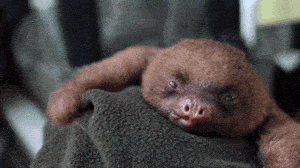 tumblr_n9z4ivl9MV1svxaato1_400-1.gif
