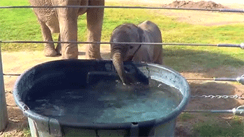 tumblr_ncwc2zq0Lt1r6v22uo1_400.gif