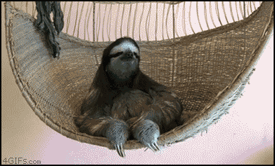 tumblr_nd51foh5MZ1u0qg6ro1_400-1.gif