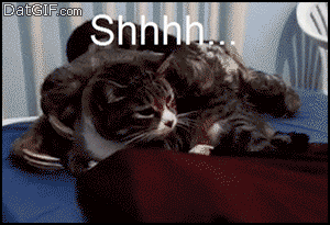 tumblr_nda451C3Ou1svxaato1_400-1.gif