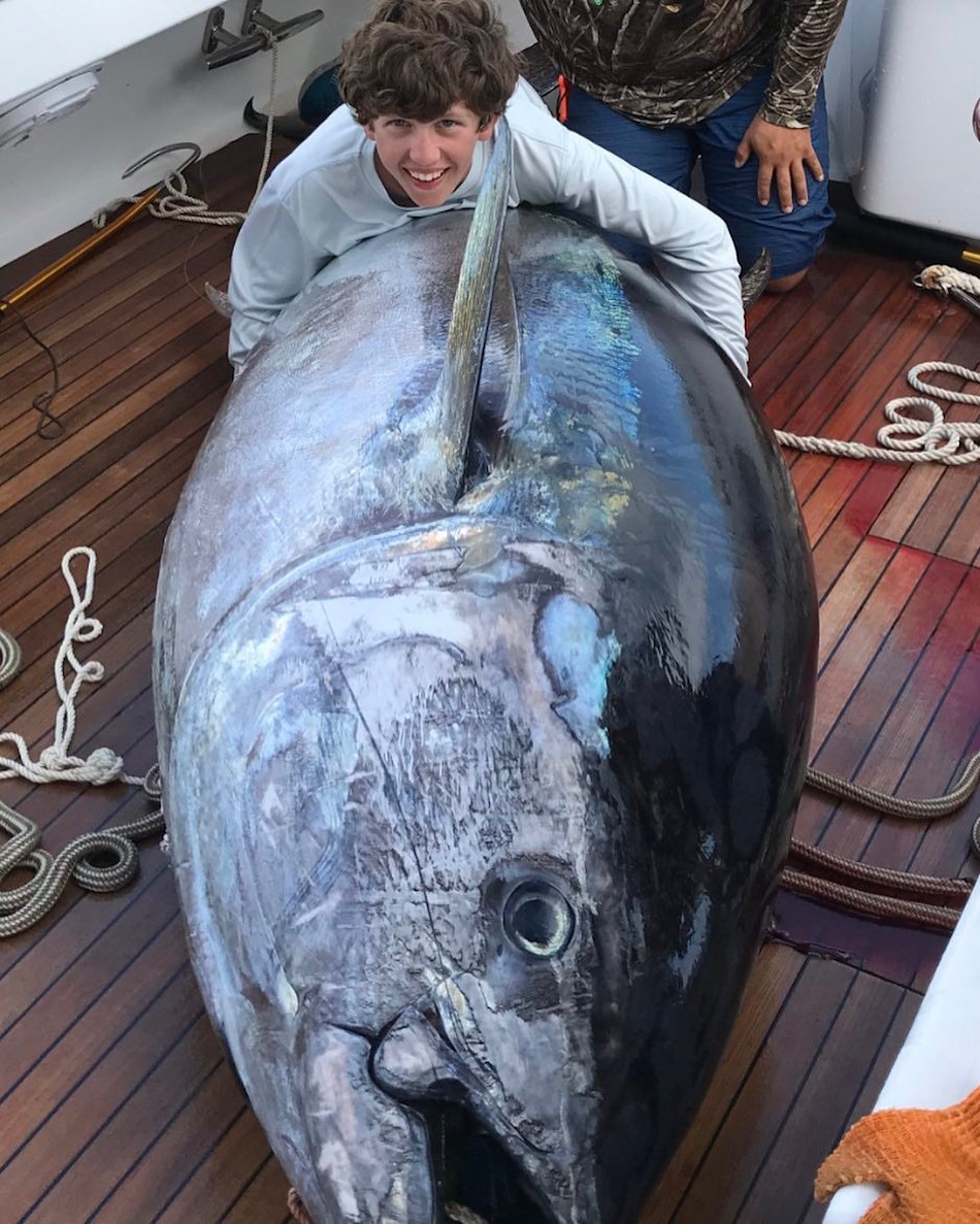 tuna-4.jpg