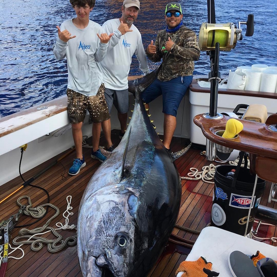 tuna-5.jpg