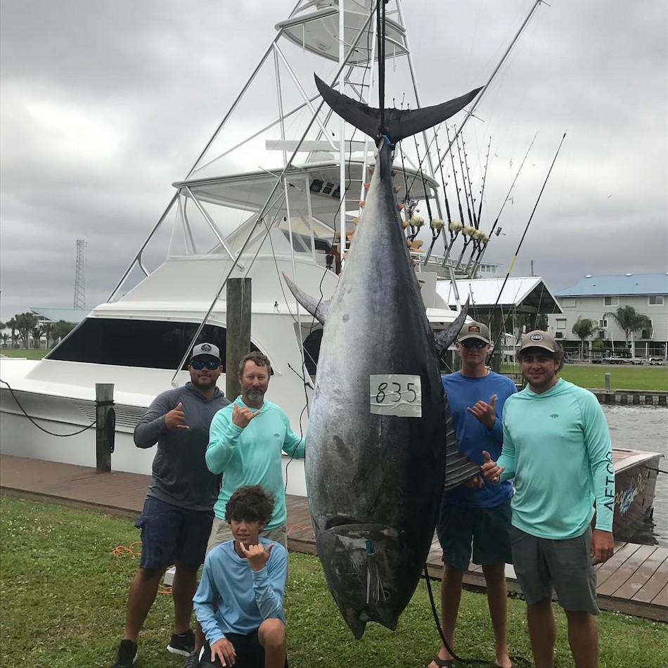 tuna-6.jpg