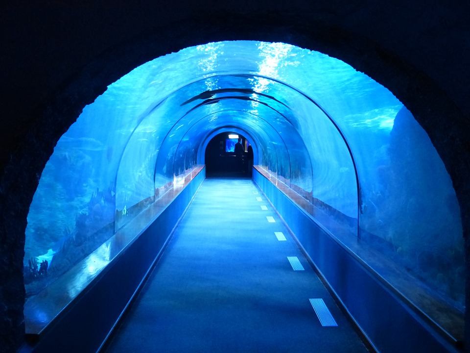 tunnel-452908_960_720.jpg